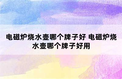 电磁炉烧水壶哪个牌子好 电磁炉烧水壶哪个牌子好用